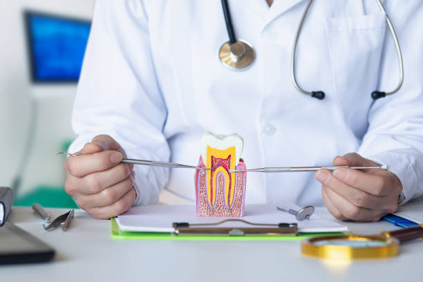 Best Cosmetic Emergency Dentistry in Seven Points, TX